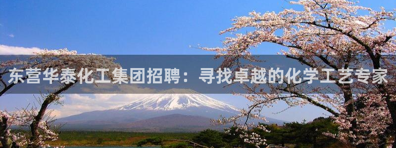 千亿球盟会：东营华泰化工集团招聘：寻找卓越的化学工艺专家