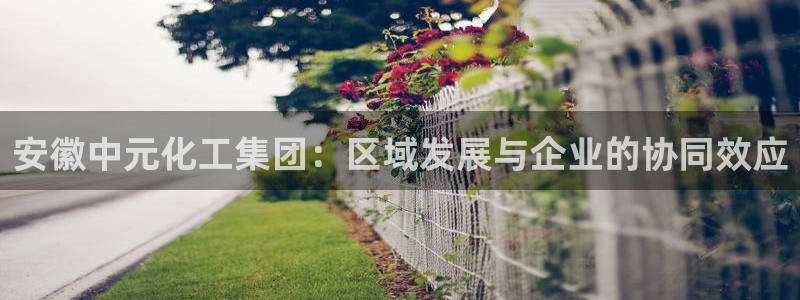 球盟会官方网站是什么：安徽中元化工集团：区域发展与企业的协同