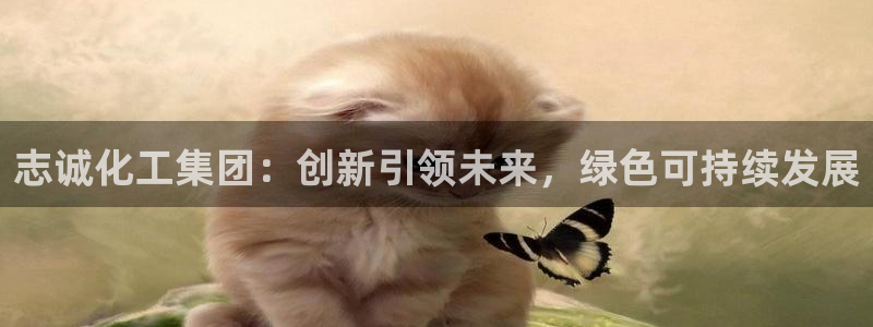 球盟会里面有打牌的嘛：志诚化工集团：创新引领未来，绿色可持续