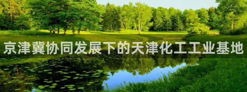 球盟会：京津冀协同发展下的天津化工工业基地