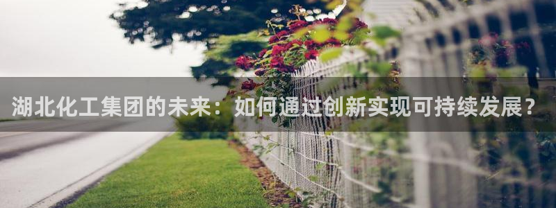 球盟会网页登录：湖北化工集团的未来：如何通过创新实现可持续发