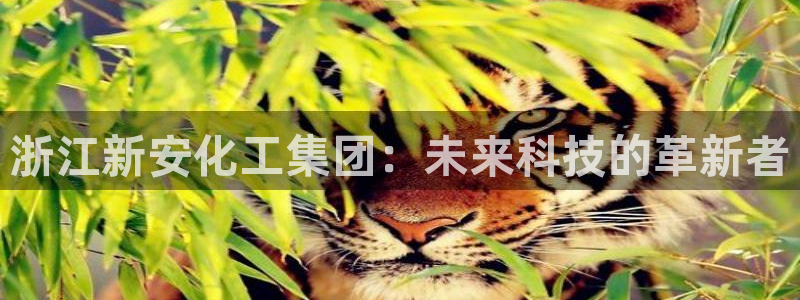 球盟会综合app下载：浙江新安化工集团：未来科技的革新者