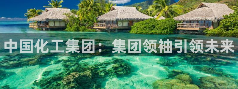 球盟会在线官网：中国化工集团：集团领袖引领未来