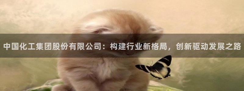 球盟会和中欧会的区别：中国化工集团股份有限公司：构建行业新格