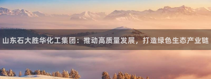 球盟会里面有打牌的嘛：山东石大胜华化工集团：推动高质量发展，