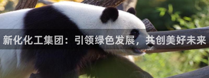 球盟会综合体育平台怎么样：新化化工集团：引领绿色发展，共创美