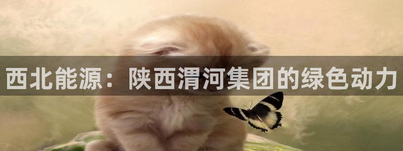 球盟会app最新地址在哪里：西北能源：陕西渭河集团的绿色动力