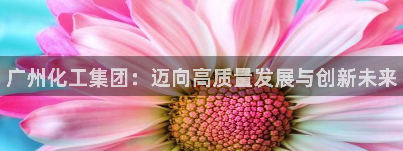 球盟会网址多少：广州化工集团：迈向高质量发展与创新未来