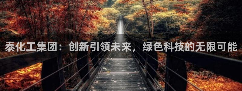 球盟会综合体育平台怎么样：泰化工集团：创新引领未来，绿色科技