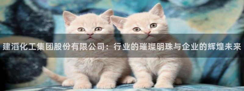 球盟会app网址多少号：建滔化工集团股份有限公司：行业的璀璨