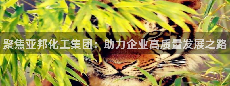 球盟会优惠领取网站：聚焦亚邦化工集团：助力企业高质量发展之路