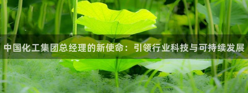 球盟会优惠码：中国化工集团总经理的新使命：引领行业科技与可持