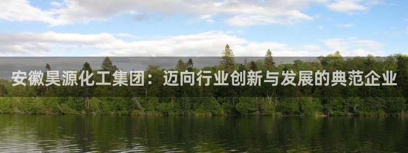 球盟会电子游戏平台：安徽昊源化工集团：迈向行业创新与发展的典