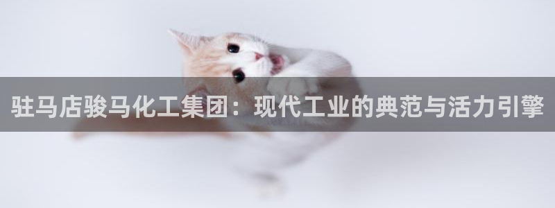 球盟会地址：驻马店骏马化工集团：现代工业的典范与活力引擎