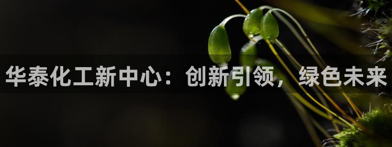 球盟会体验金：华泰化工新中心：创新引领，绿色未来