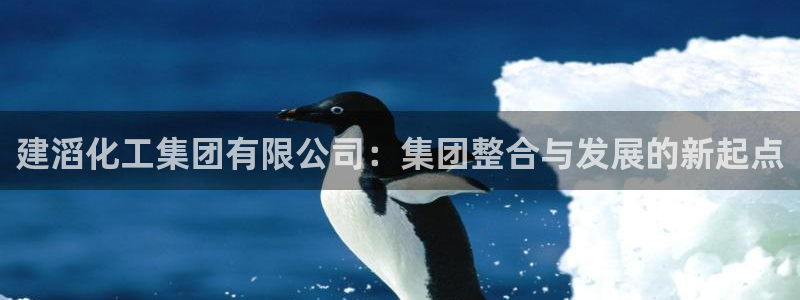 球盟会头号玩家：建滔化工集团有限公司：集团整合与发展的新起点