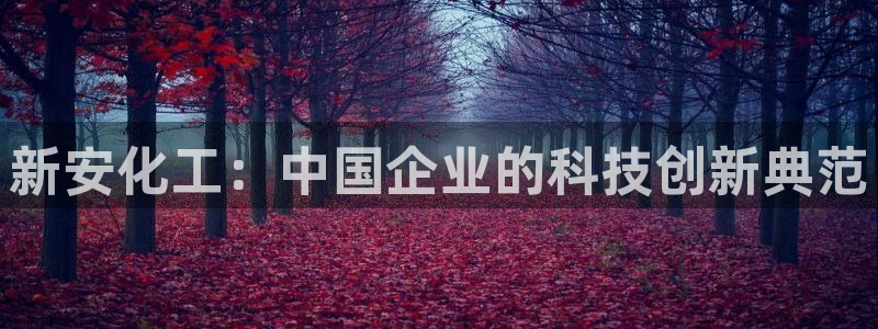 球盟会能退钱吗：新安化工：中国企业的科技创新典范