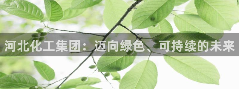 球盟会网页登录入口：河北化工集团：迈向绿色、可持续的未来