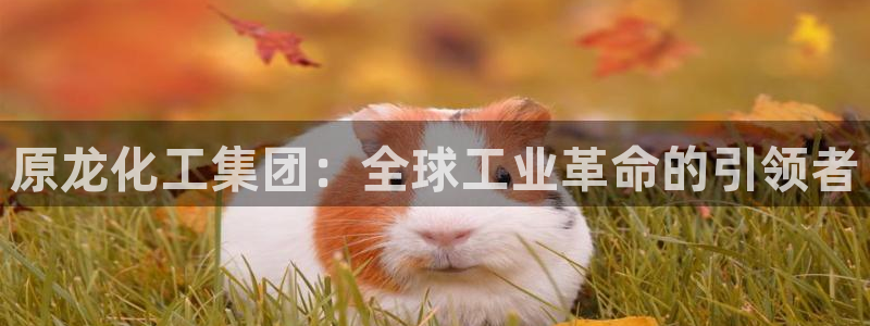 球盟会能提现吗安全吗：原龙化工集团：全球工业革命的引领者