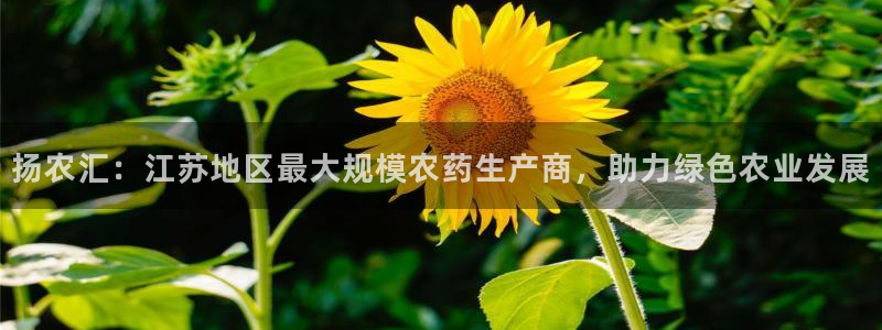 球盟会福利码2023最简单三个步骤：扬农汇：江苏地区最大规模