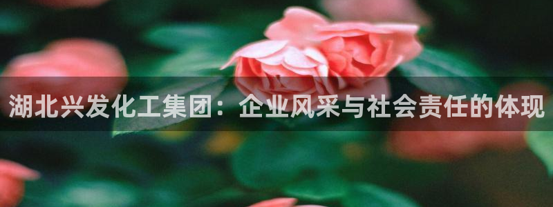 球盟会qmh网址：湖北兴发化工集团：企业风采与社会责任的体现