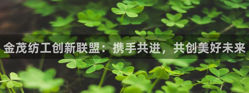 球盟会有没有黑单的球员：金茂纺工创新联盟：携手共进，共创美好
