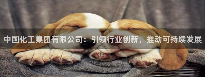 球盟会电子游戏平台：中国化工集团有限公司：引领行业创新，推动