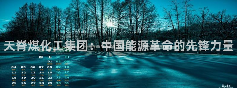 球盟会优惠领取网站：天脊煤化工集团：中国能源革命的先锋力量