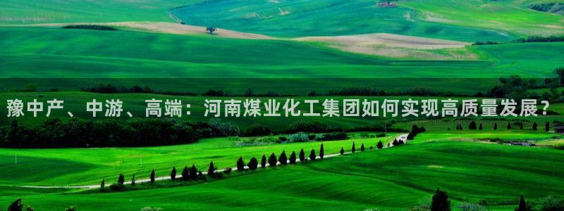 球盟会有没有黑单的人：豫中产、中游、高端：河南煤业化工集团如