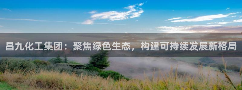球盟会电子好黑：昌九化工集团：聚焦绿色生态，构建可持续发展新
