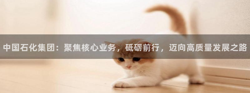 球盟会有限公司怎么样：中国石化集团：聚焦核心业务，砥砺前行，