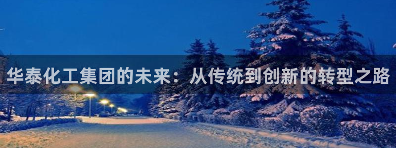 球盟会官方客服：华泰化工集团的未来：从传统到创新的转型之路