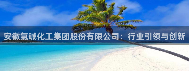 球盟会黑平台：安徽氯碱化工集团股份有限公司：行业引领与创新