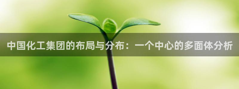 球盟会电子好下吗：中国化工集团的布局与分布：一个中心的多面体