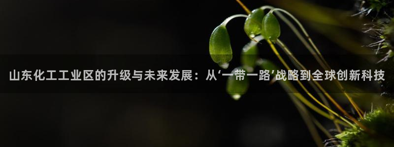 球盟会福利码2023最简单三个步骤：山东化工工业区的升级与未