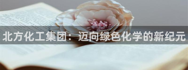 球盟会网页版登陆：北方化工集团：迈向绿色化学的新纪元