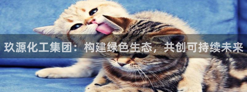 球盟会官方网站app