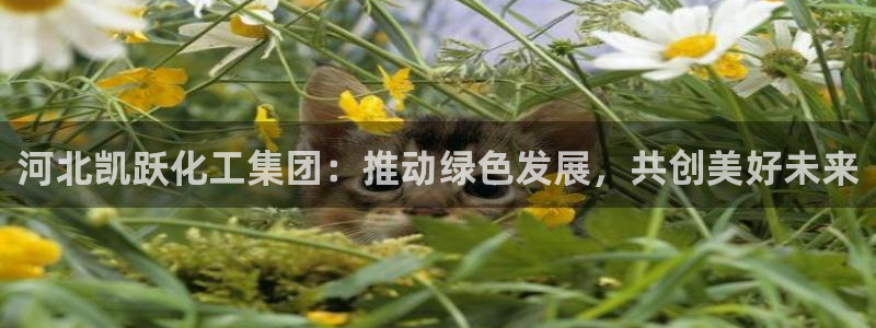 球盟会有没有黑单的活动：河北凯跃化工集团：推动绿色发展，共创