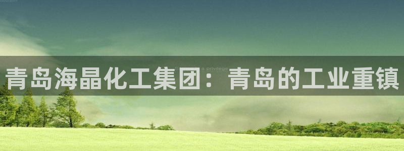 球盟会地址：青岛海晶化工集团：青岛的工业重镇