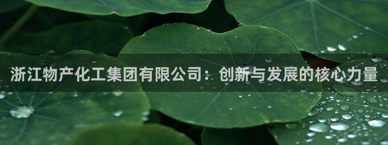 球盟会黑款吗还是白款：浙江物产化工集团有限公司：创新与发展的