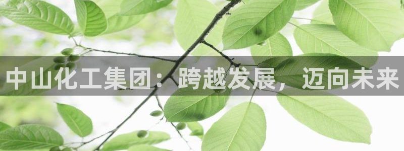 球盟会游戏几点玩合适：中山化工集团：跨越发展，迈向未来