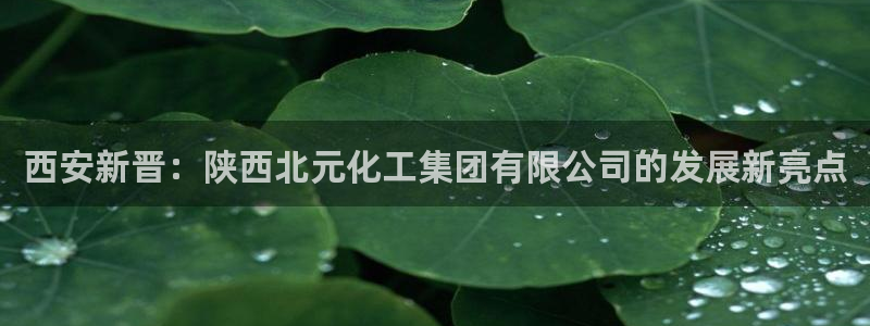 球盟会电子游戏平台：西安新晋：陕西北元化