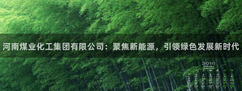 球盟会在线官网：河南煤业化工集团有限公司