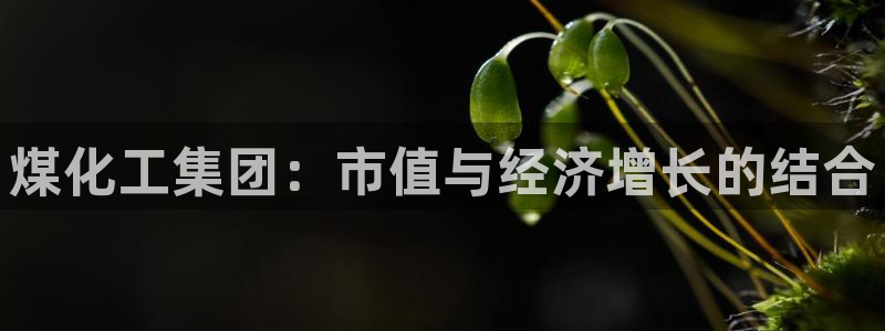 球盟会qmh网页版登录：煤化工集团：市值与经济增长的结合