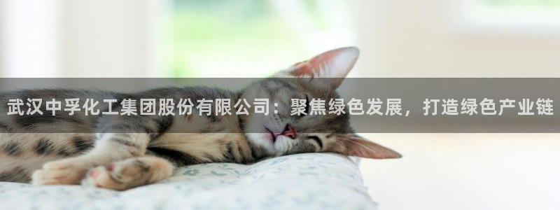 球盟会qmh电子网页版登录：武汉中孚化工集团股份有限公司：聚