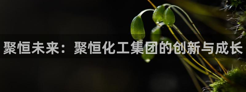 球盟会app最新地址在哪看：聚恒未来：聚恒化工集团的创新与成