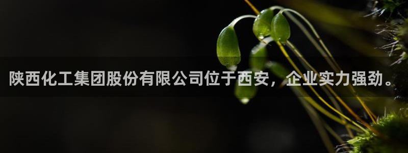 球盟会app最新地址在哪：陕西化工集团股份有限公司位于西安，