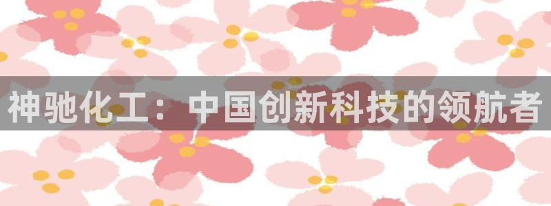 球盟会官方登录平台入口：神驰化工：中国创新科技的领航者