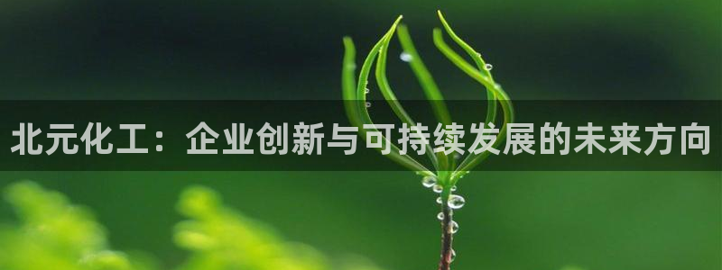 球盟会能退钱吗现在：北元化工：企业创新与可持续发展的未来方向