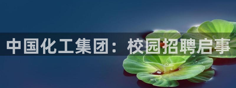 球盟会优惠券：中国化工集团：校园招聘启事